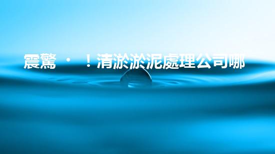 震驚！清淤淤泥處理公司哪家強(qiáng)？在線等，挺急的！